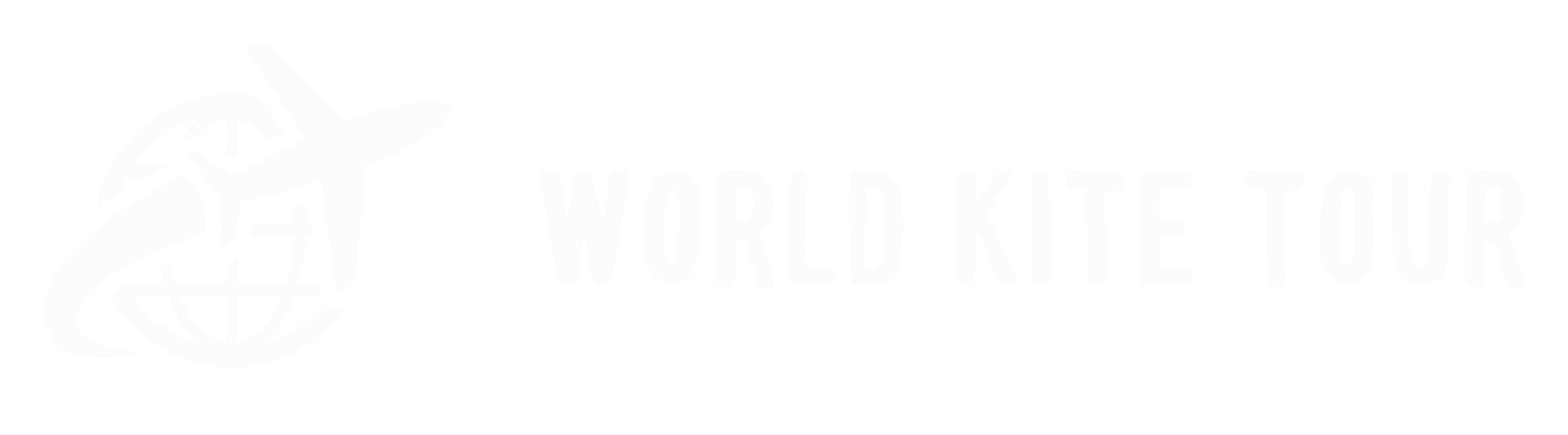 World Kite Tour